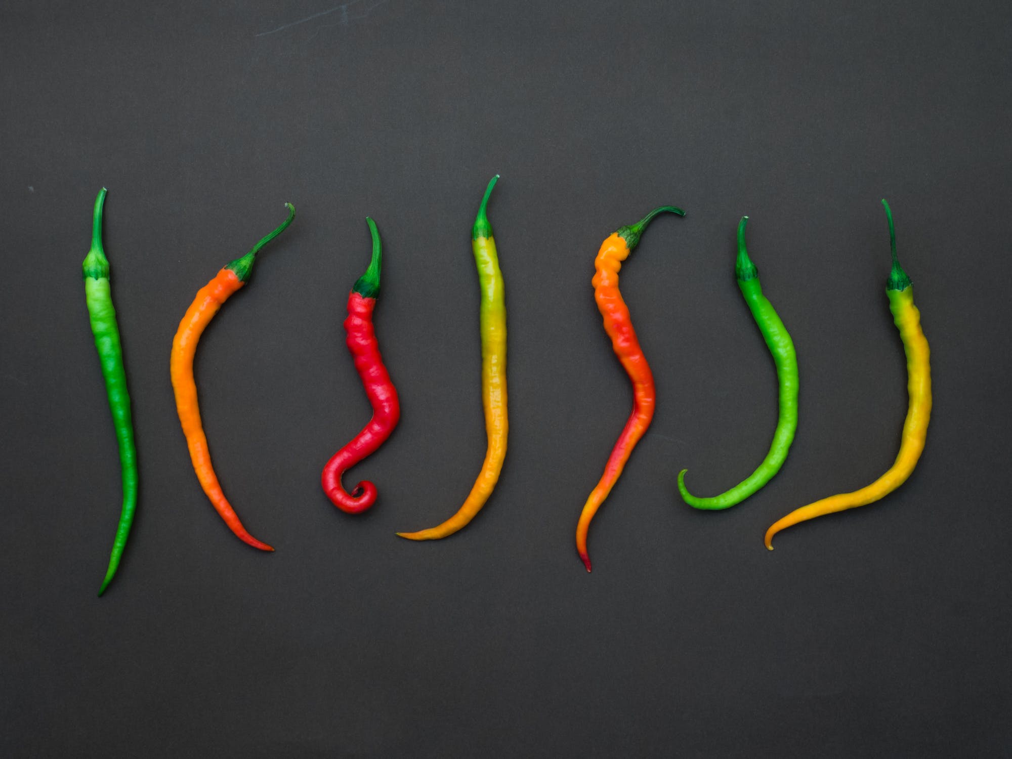 Why Are Flowers Falling Off My Chilli Plants? BuyPlants.co.uk