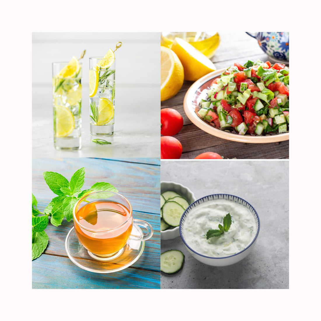 Mint collection of 6 plants.