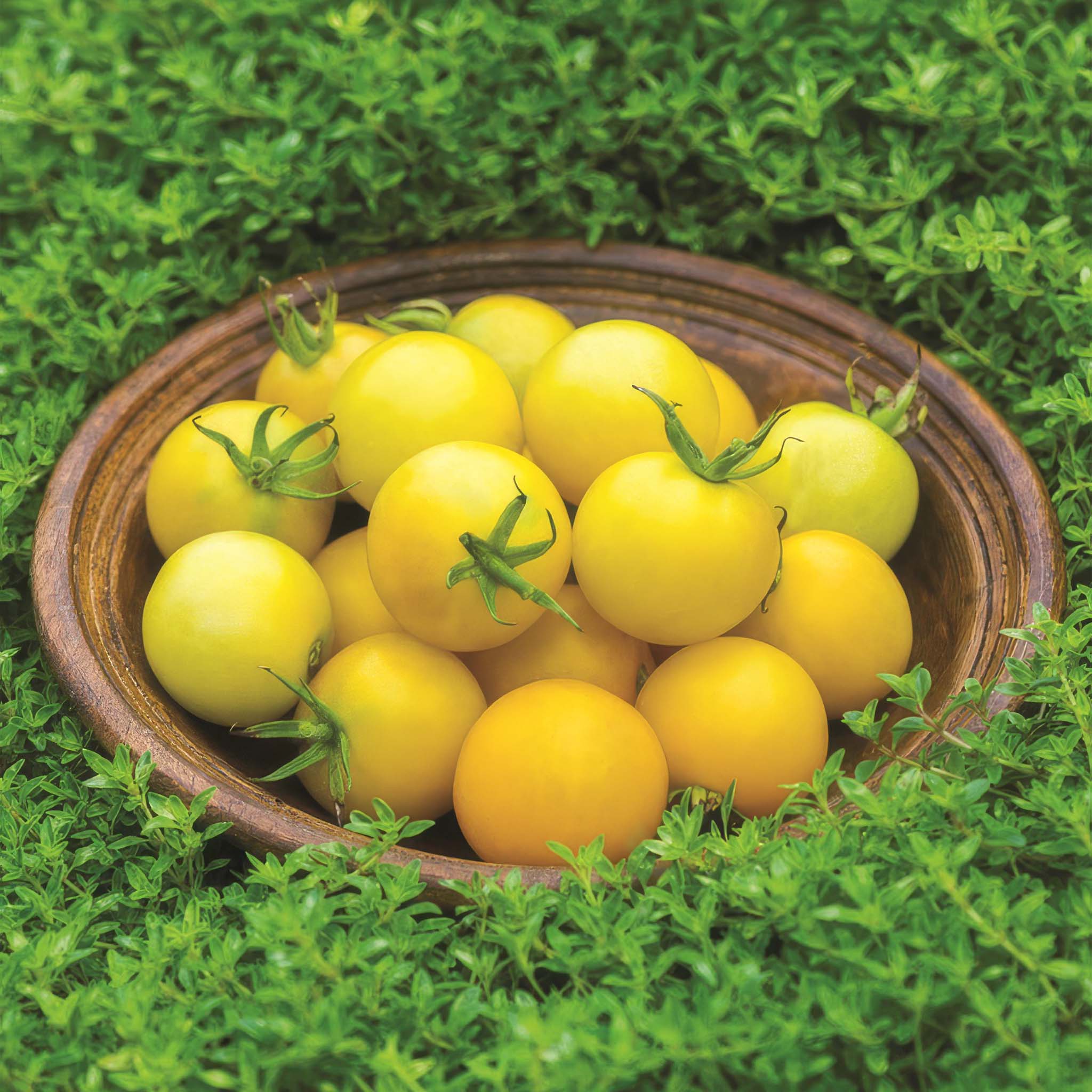 Tomato Honey Delight