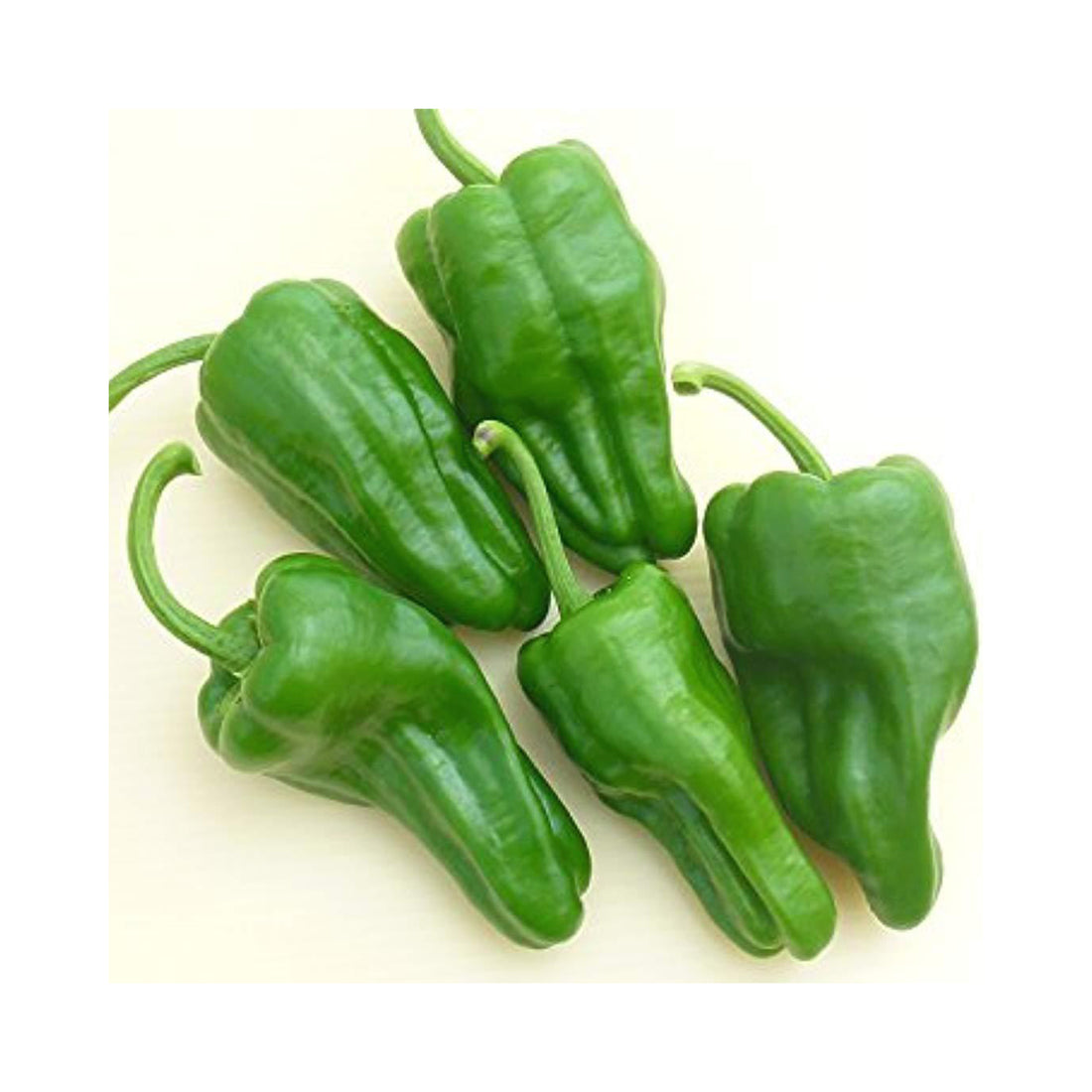 Chilli Pimento de Padron