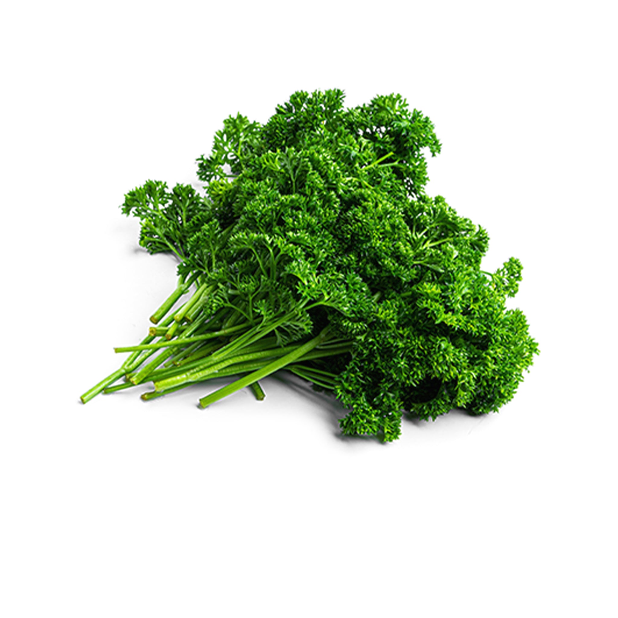 Parsley Curled
