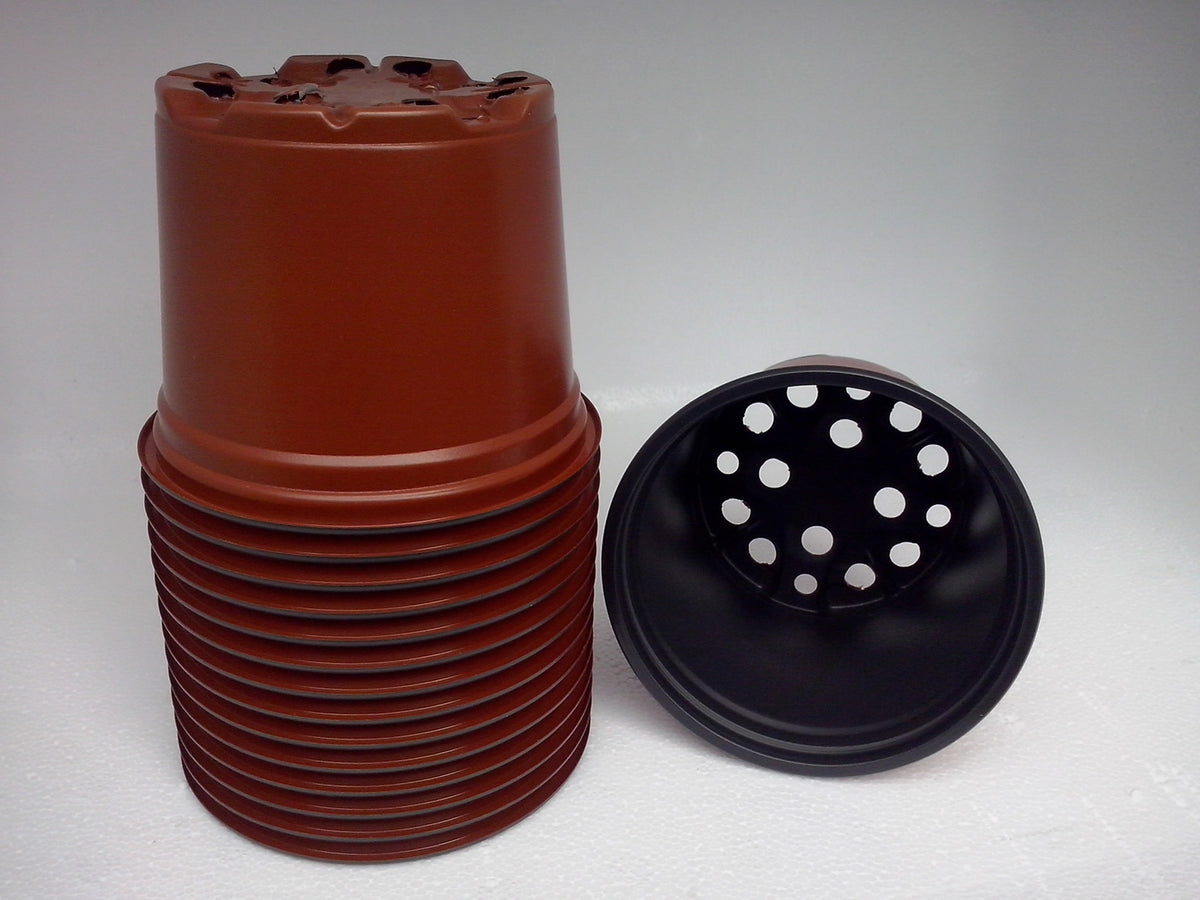 Pot Sizes & Overwintering Herbs