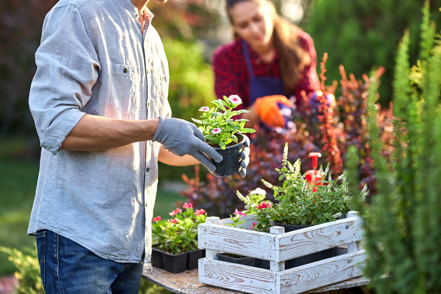 Health benefits of gardening