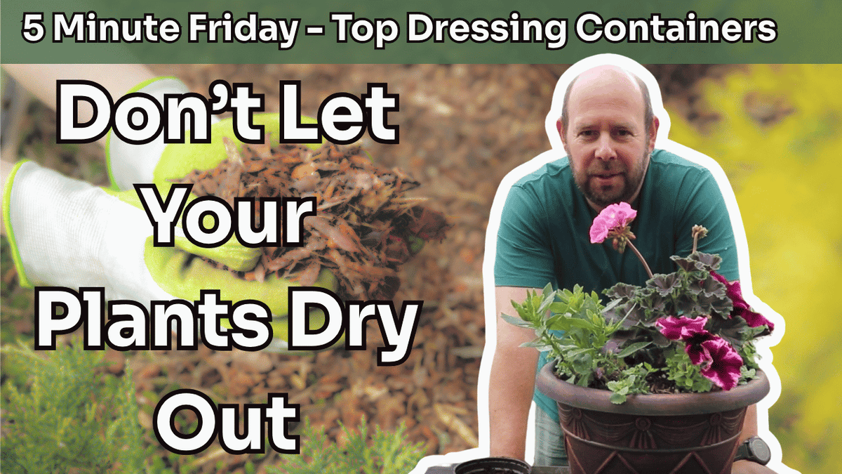 5 Minute Friday - Top Dressing Containers