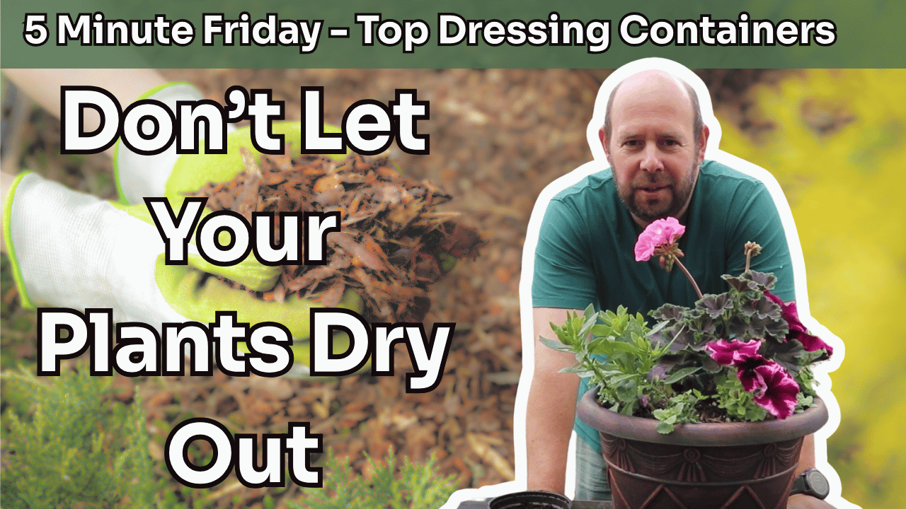 5 Minute Friday - Top Dressing Containers