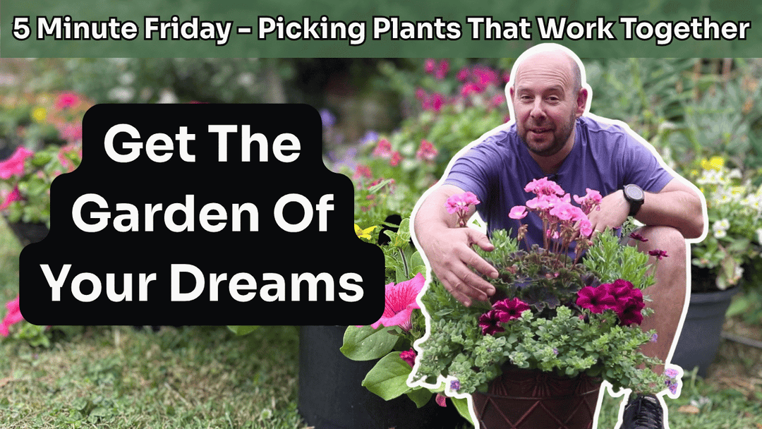 5 Minute Friday - Picking Plants That Work Together