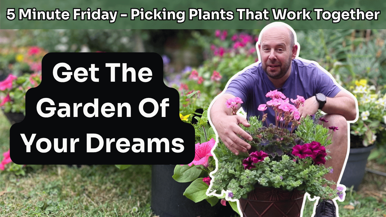 5 Minute Friday - Picking Plants That Work Together