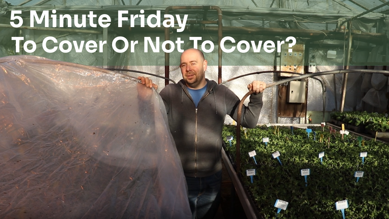 5 Minute Friday - To Cover Or Not To Cover?