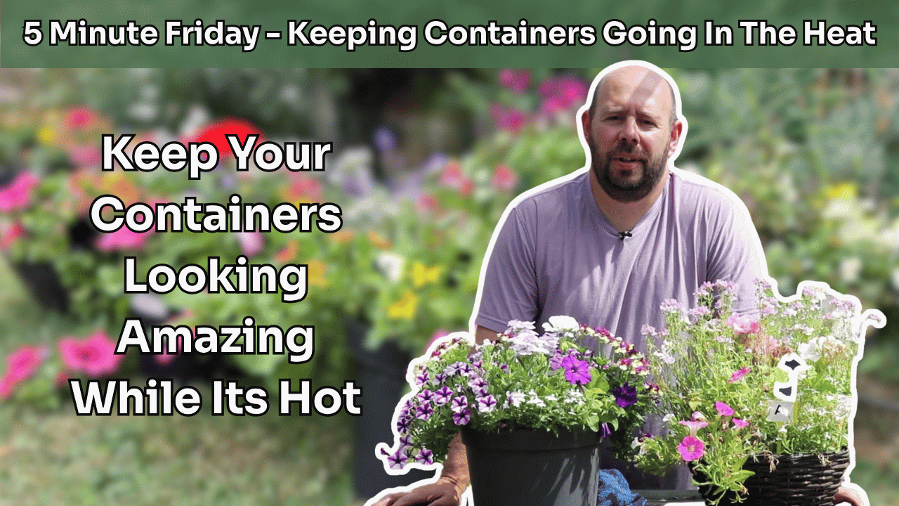 5 Minute Friday - Keeping Containers Going In The Heat