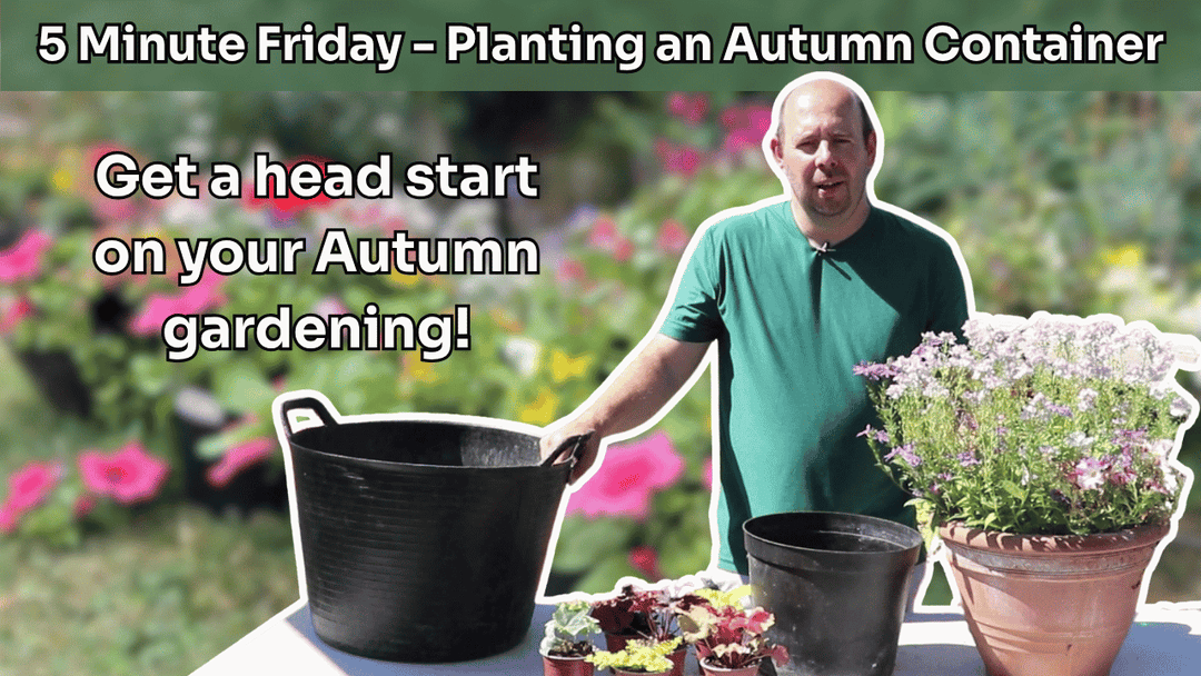 5 Minute Friday - Planting an Autumn Container