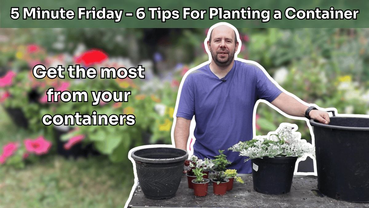 5 Minute Friday - 6 Tips For Planting Containers