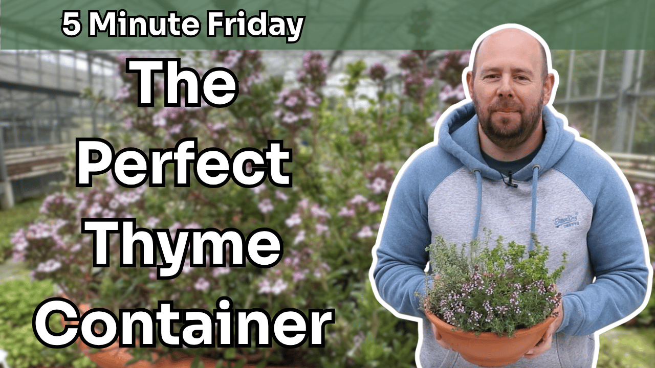 5 Minute Friday - The Perfect Thyme Container