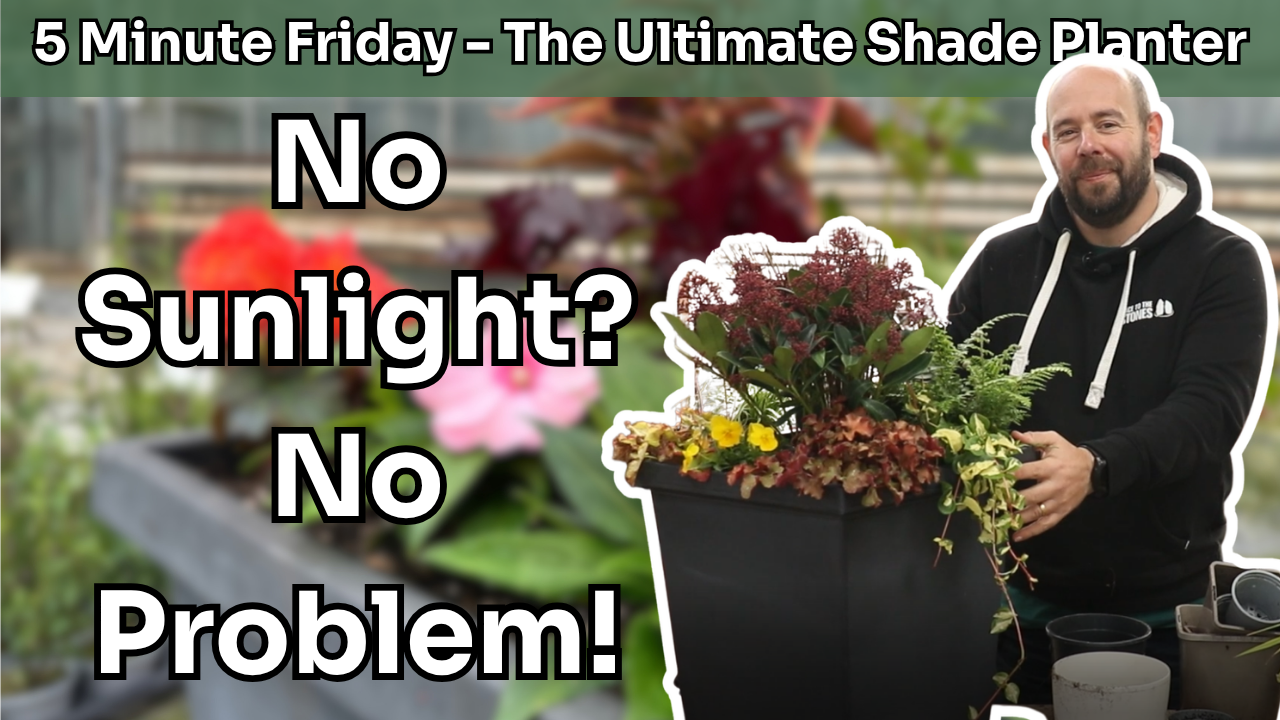 5 Minute Friday - The Ultimate Shade Container