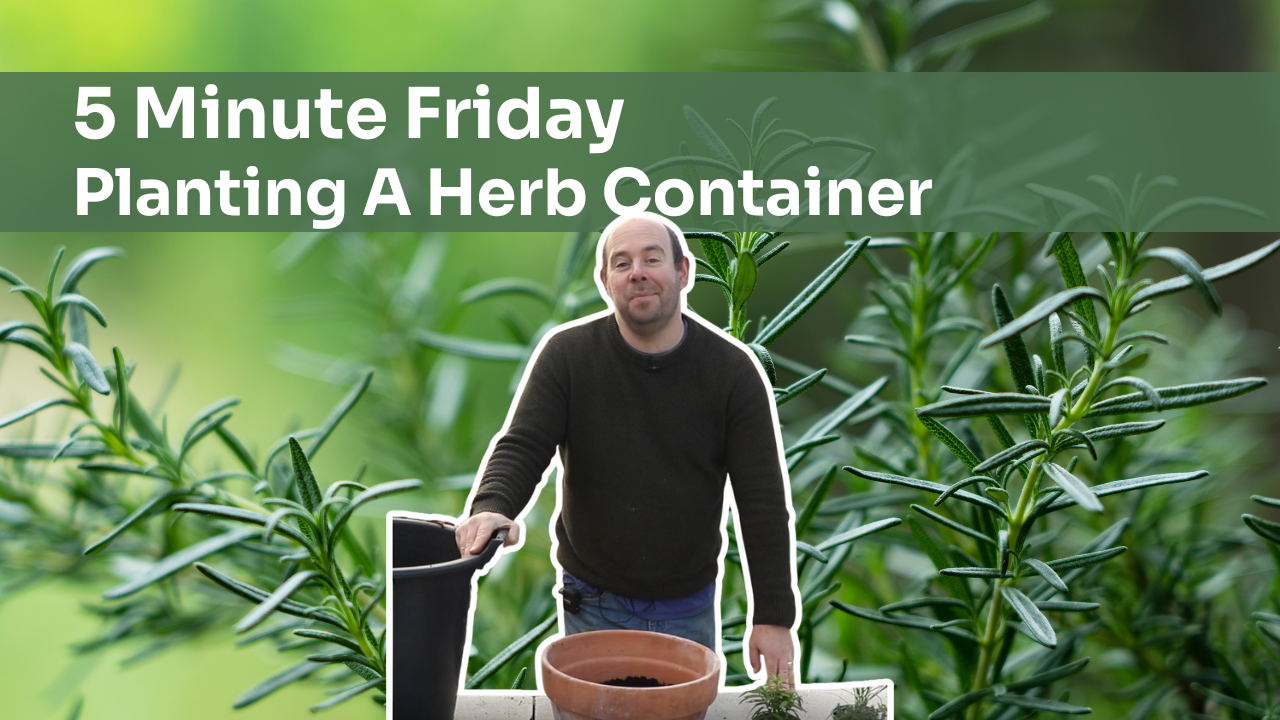 5 Minute Friday - Planting Up A Herb Container