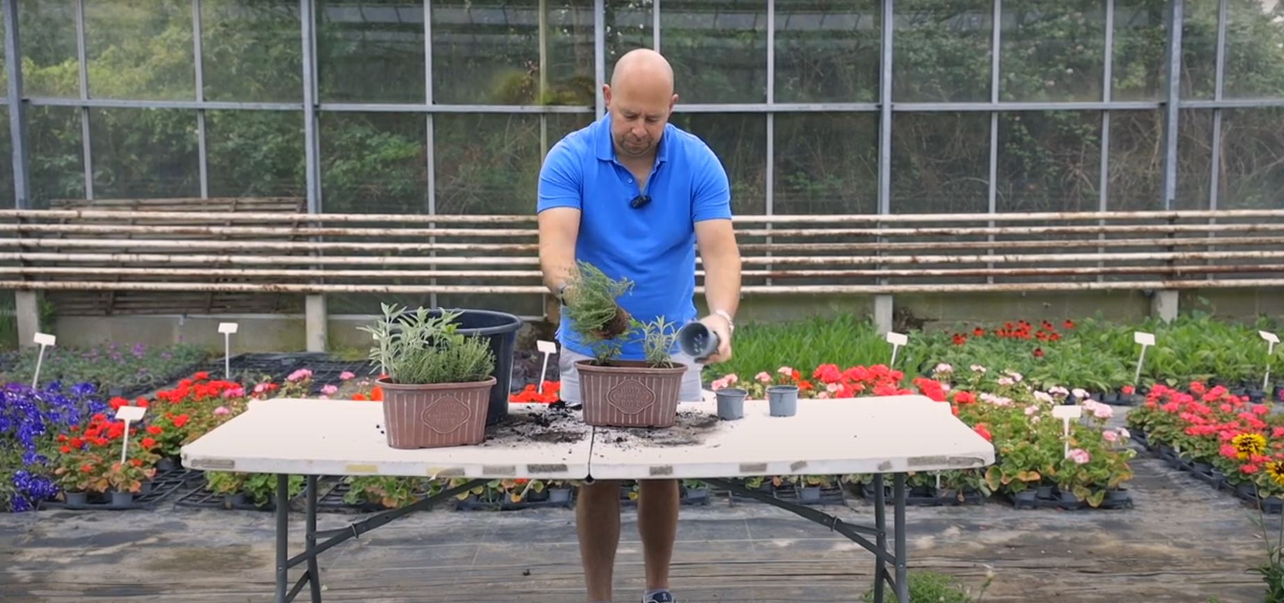 EP227 - How to pot a Herb Planter