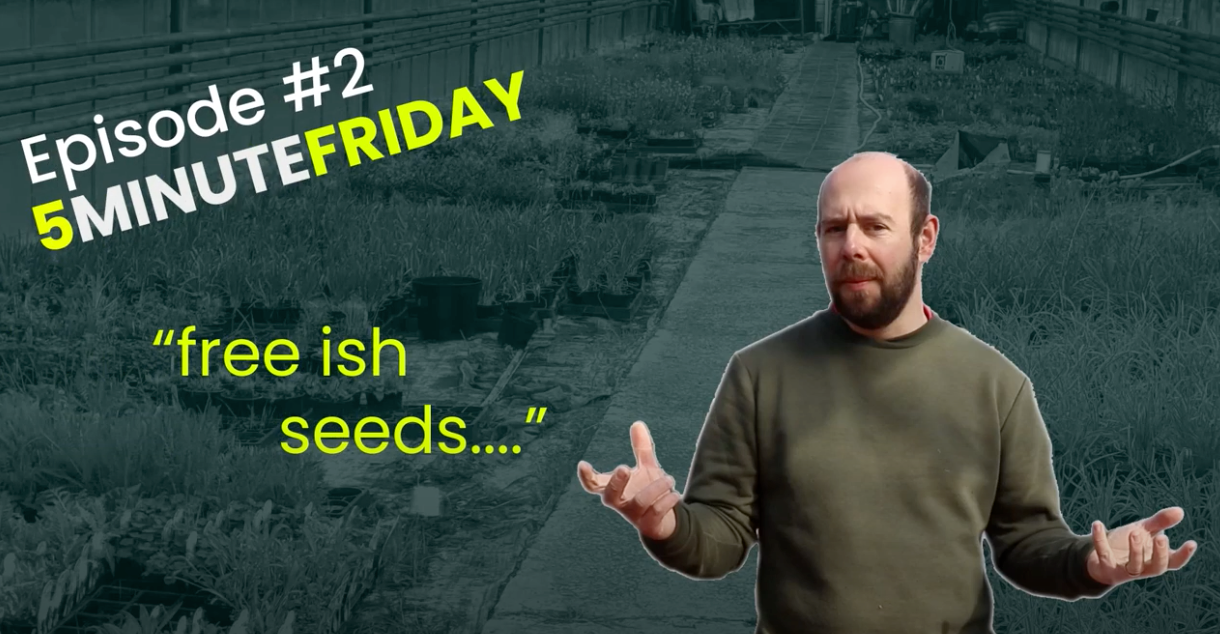 EP2 - Free (ish) seeds #5MINUTEFRIDAY