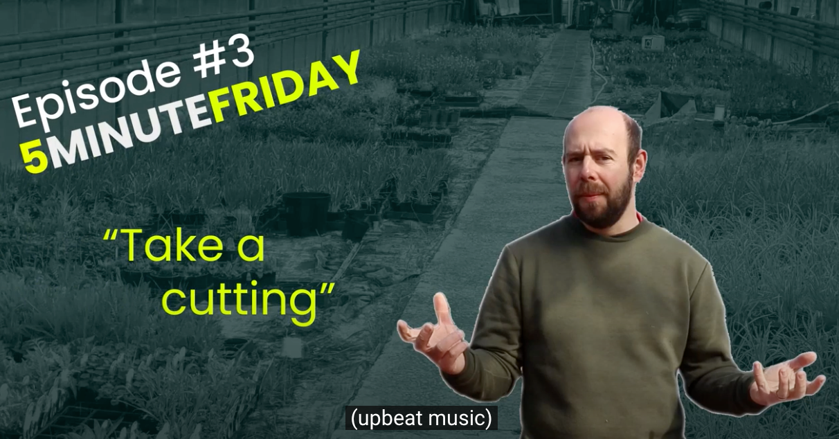 EP3 - Lets take some cuttings #5MINUTEFRIDAY