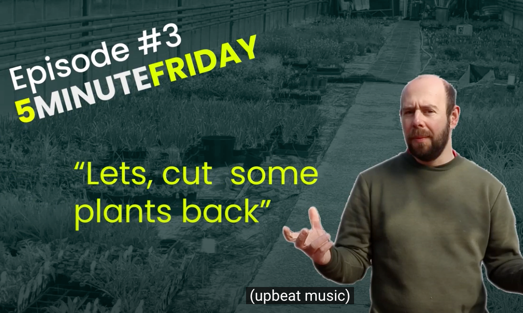 EP4 - Let's cut back some plants! #5MINUTEFRIDAY