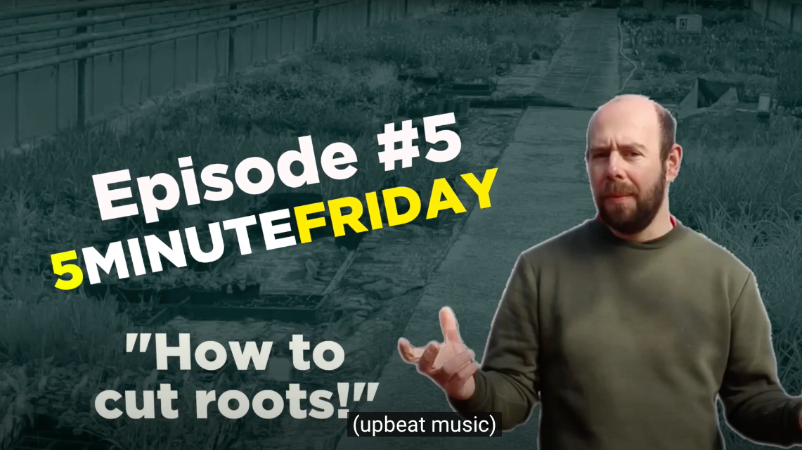 EP5 - How to cut roots easily! #5MINUTEFRIDAY