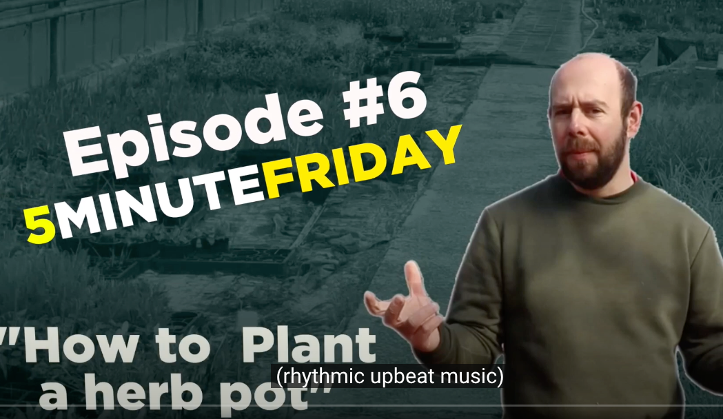 EP6 - How to plant a herb pot! #5MINUTEFRIDAY
