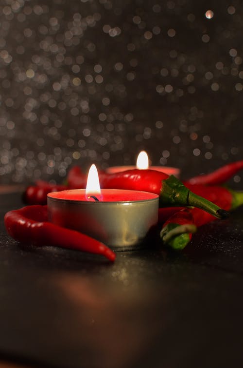 How To Prepare Your Chilli Plants For Winter!