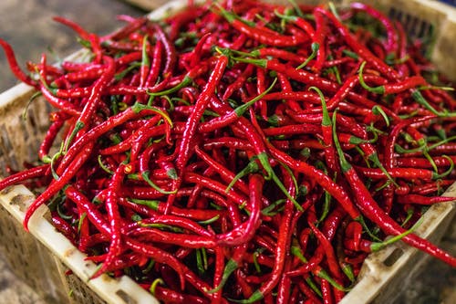 When Should I Eat My Chilli Plants?!