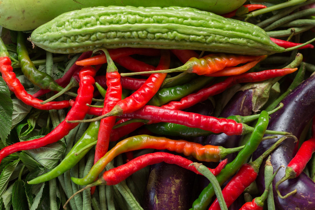 How To Care For Your Chilli Plants!