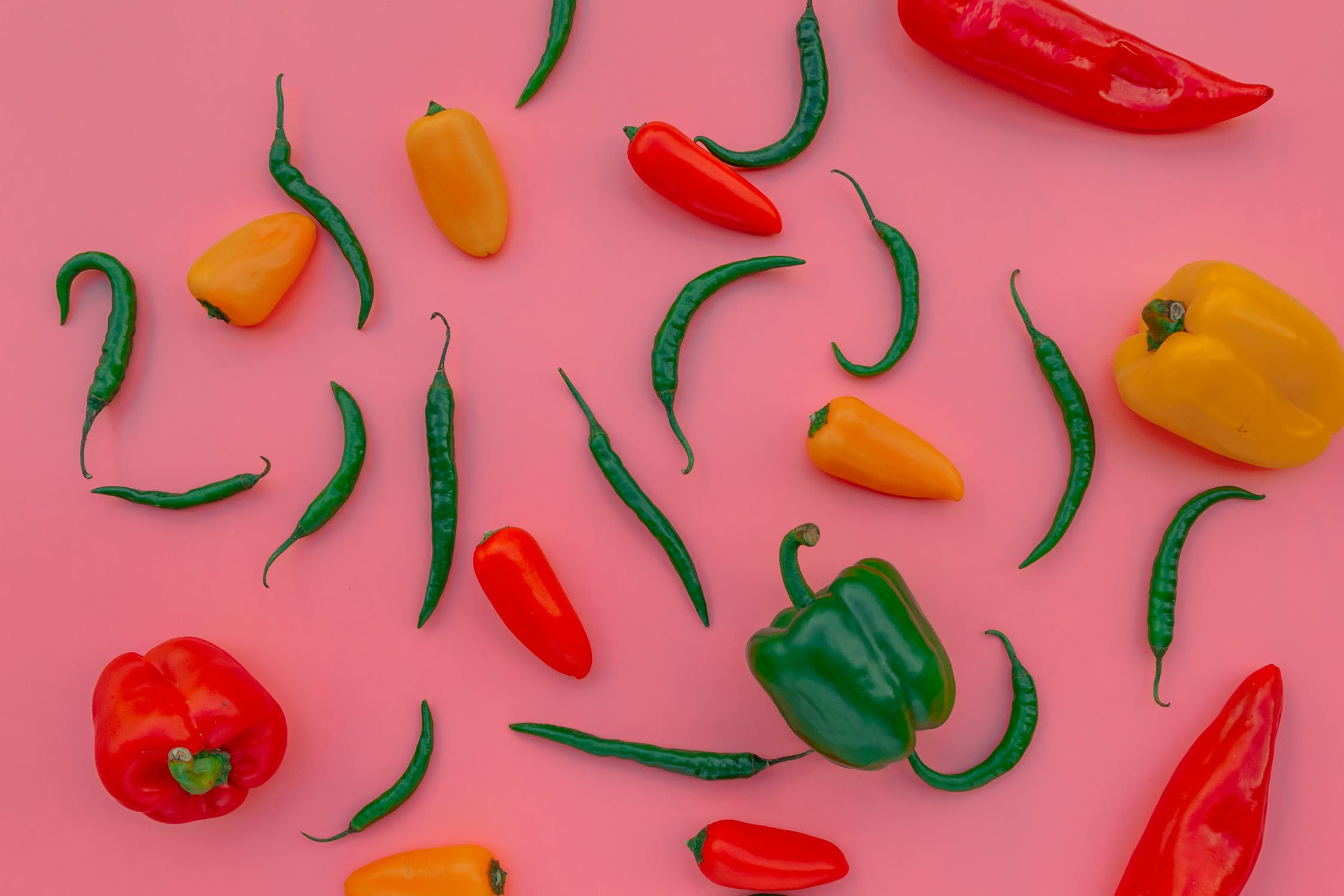 How to Cross Pollinate Your Chillies!