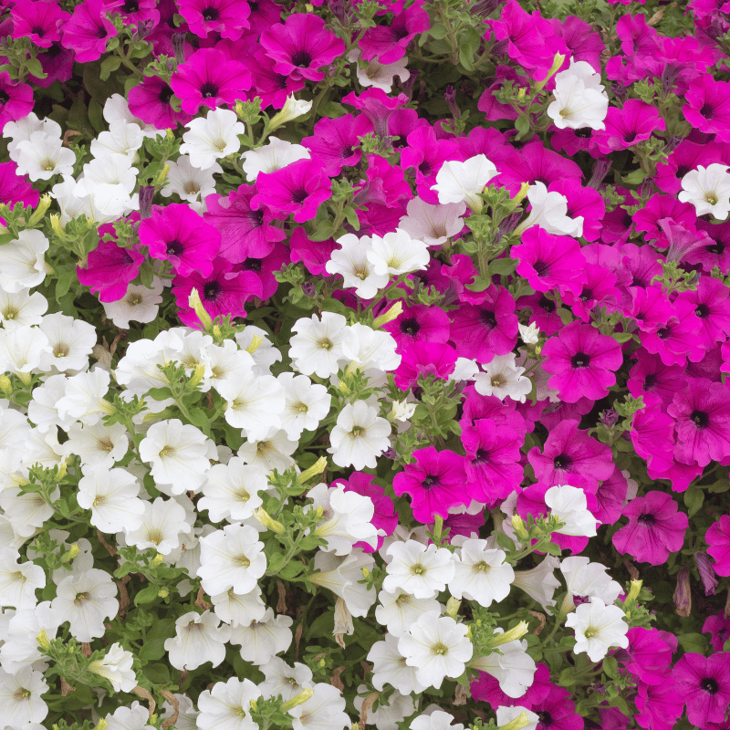 9.png__PID:b440bb5a-af6b-41b0-9bd9-513f8a04a760