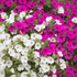 9.png__PID:b440bb5a-af6b-41b0-9bd9-513f8a04a760
