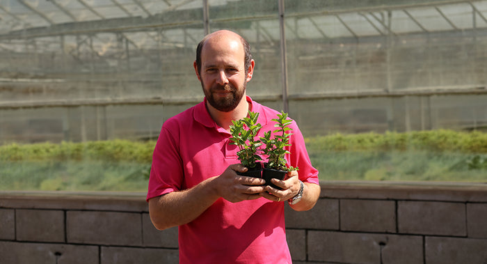 Picture of Alan Lodge holding 2 plants of mint