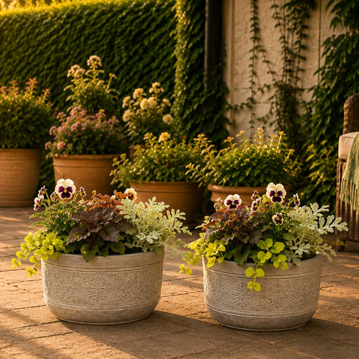 Front Door Appeal Collection – 12 Plants for 2 Pots