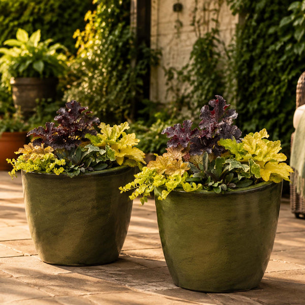 Shade Container Collection – 12 Plants for 2 Pots
