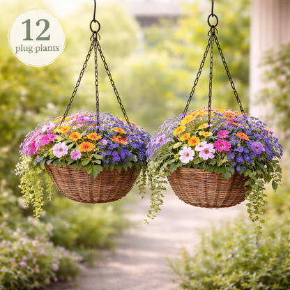 Small Hanging Basket Plug Pack (2 Baskets | 25–30cm)