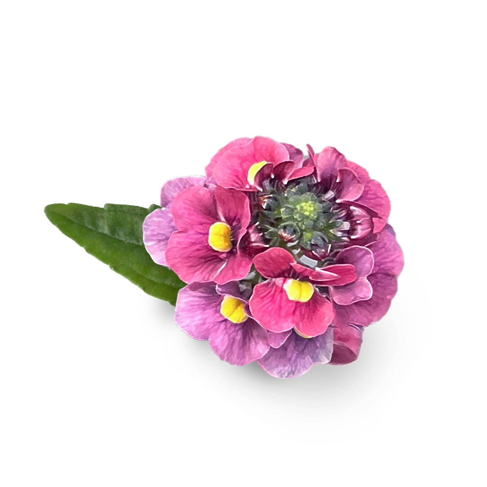 Nemesia Neminio UP Raspberry