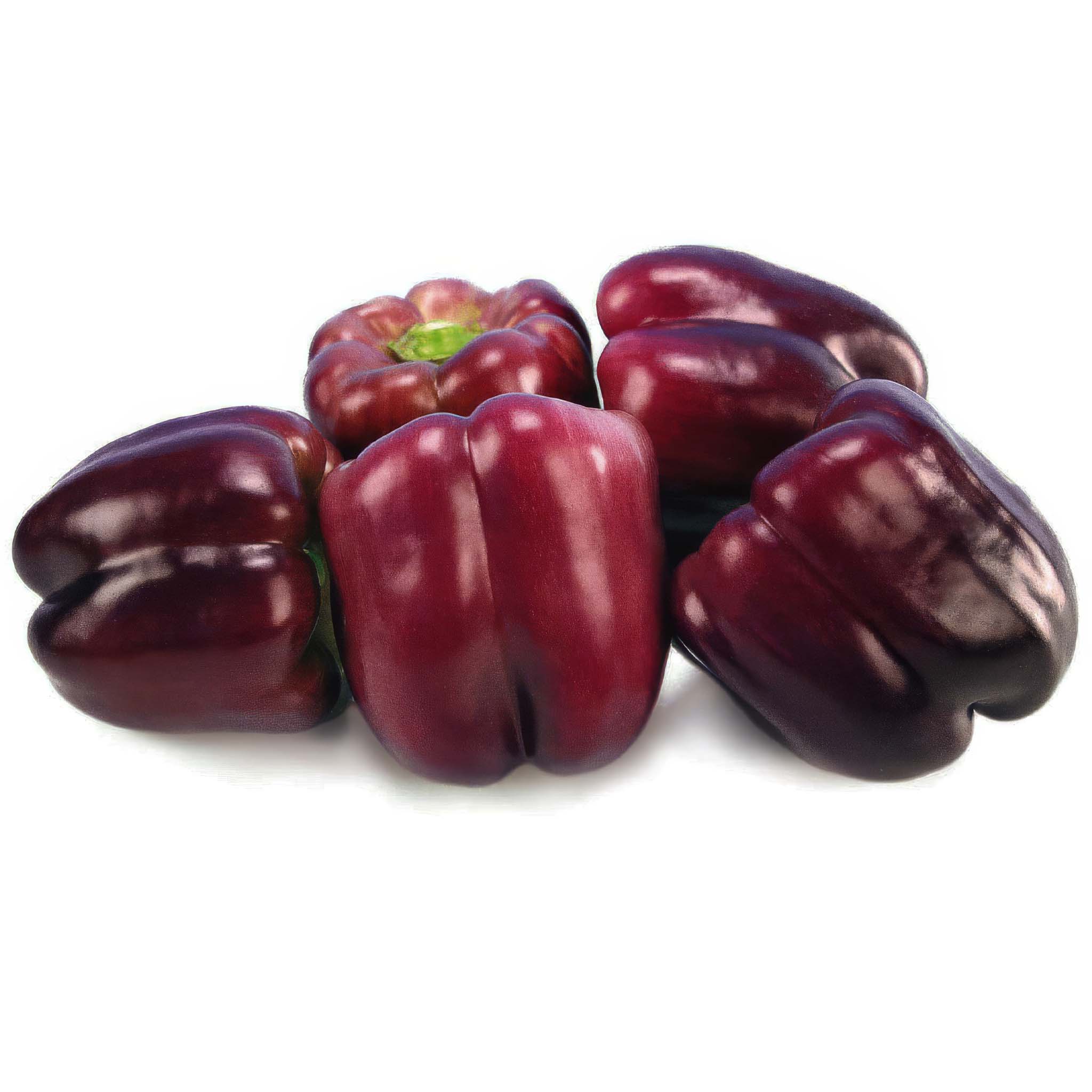 Sweet Pepper Purple Star