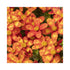 Deep red flowers with five petals. Splashes of yellow on the petals