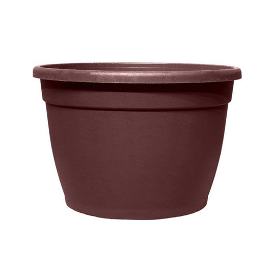 The White Choice Container